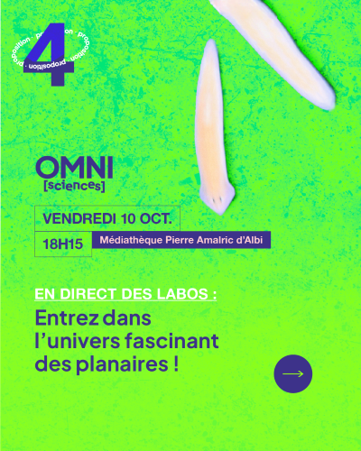 Planaire